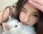 抖音投诉难？揭秘找人投诉业务背后的门道与正确选择，抖音找人投诉业务
